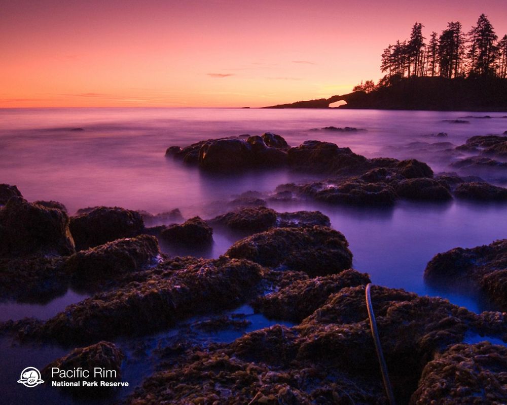 Pacific Rim National Park Reserve | Super, Natural BC