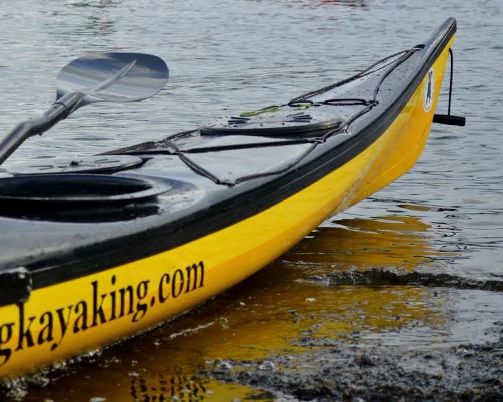 Paddle In A Kayak, Canoe, Or Paddle Board | Super, Natural BC