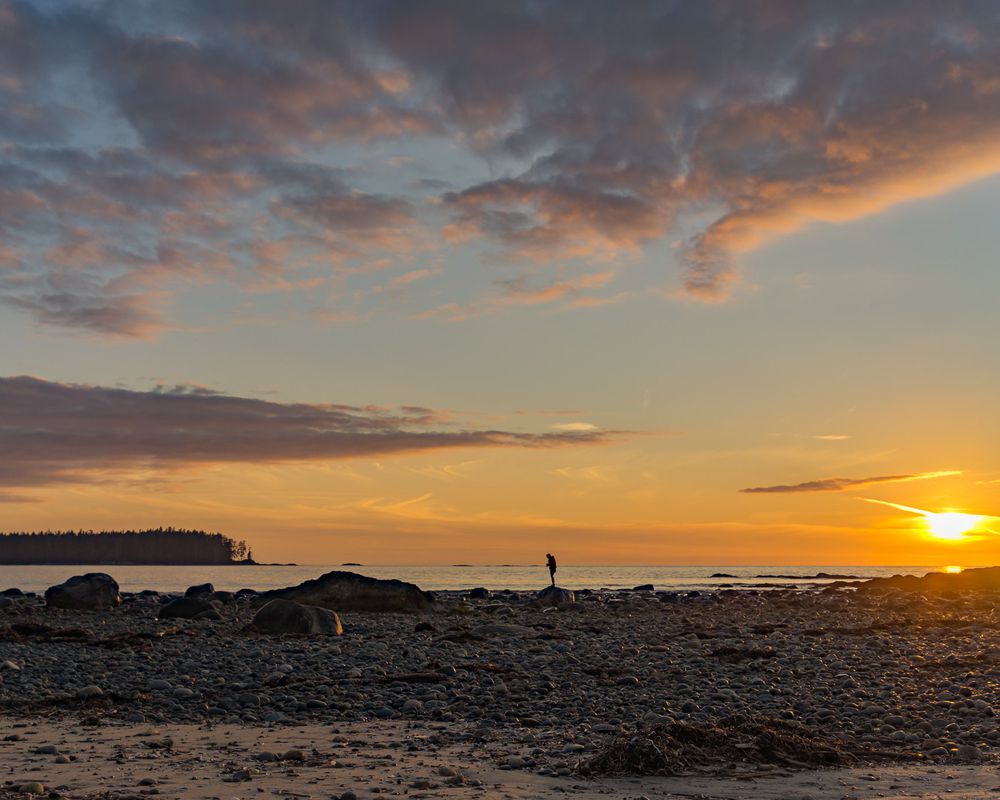 Central Vancouver Island Super, Natural BC