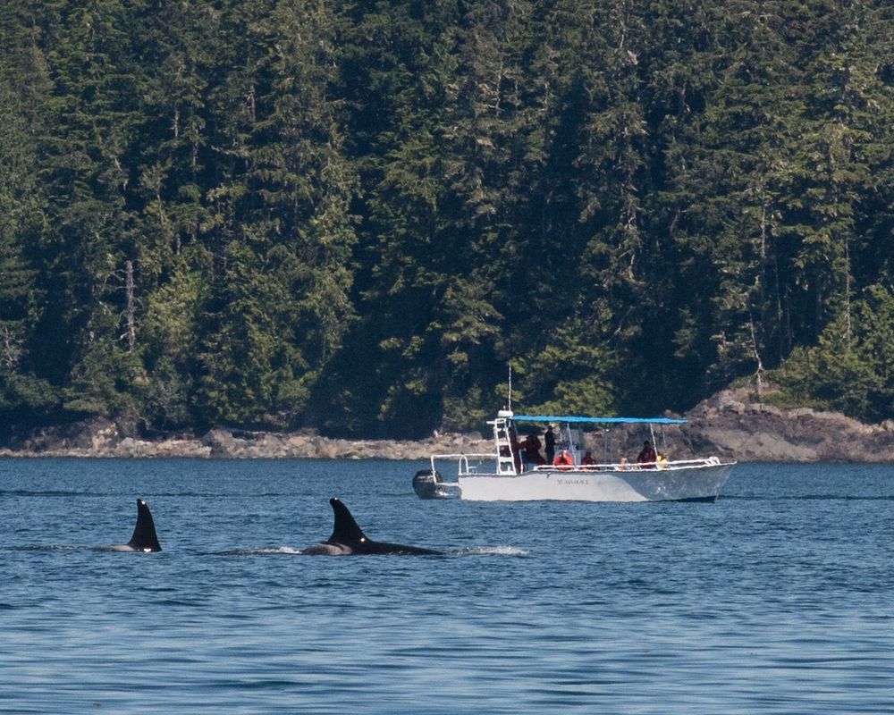 Northern Vancouver Island | Super, Natural BC