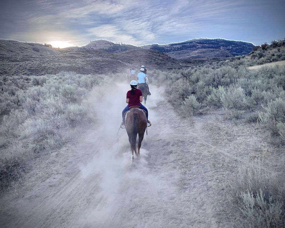 Sun Hills Riding Centre | Super, Natural BC